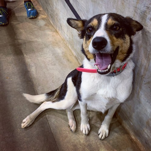 009FA6A0-F572-4264-8DD1-3622295122EE