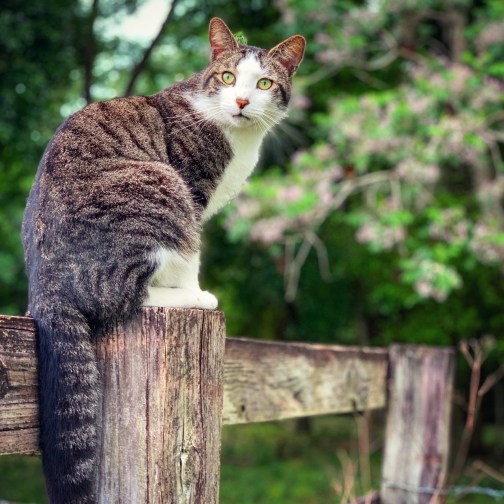 90085A0C-2A96-4D06-92F6-0BAD249C1B1F