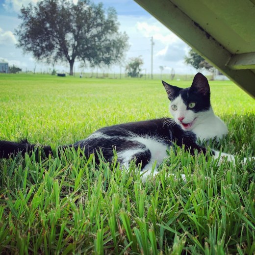 C31CCBC9-C283-4376-BE3D-624038C15972