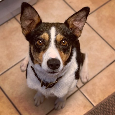 D0021093-6283-4060-B960-03B53F949FB3